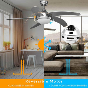 Ventilatore da Soffitto 5 Pale Legno con Lampada e Telecomando Diametro 132 cm