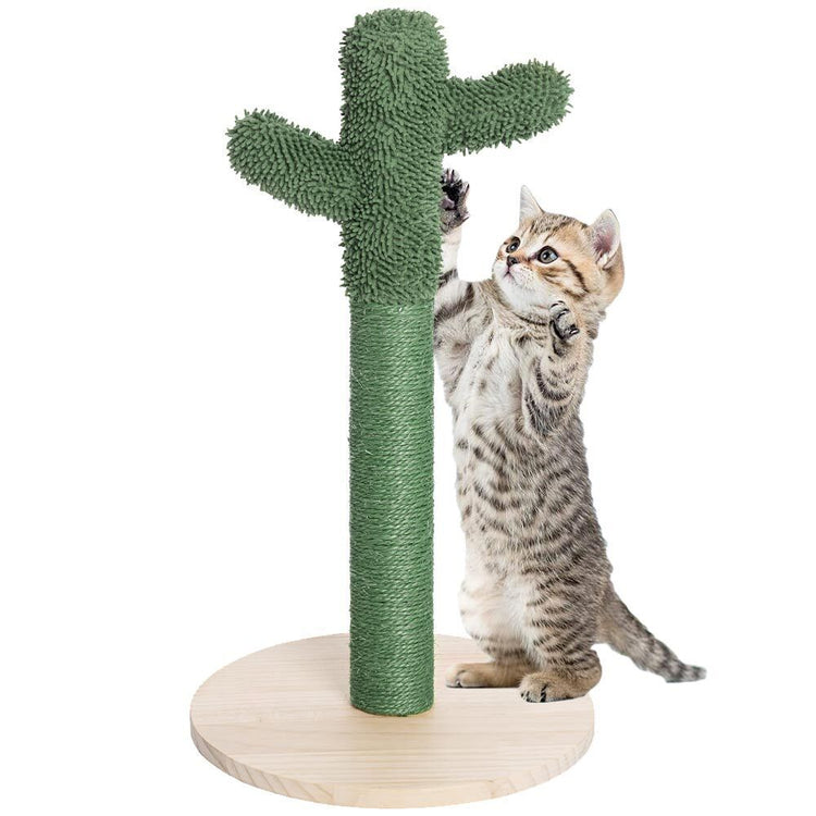 Tiragraffi Graffiatoio Forma Cactus Pianta per Gatti Animali Felini Verde