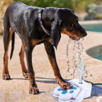 Fontanella per Cani Pulsante di Accensione Fontana a Pedale per Bere 26x21x8 cm