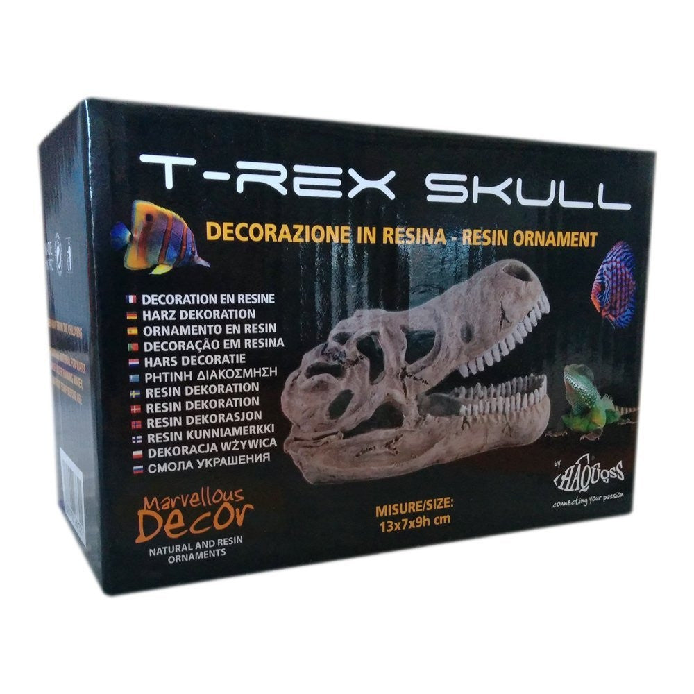 Haquoss t-rex skull decorazioni per rettili marvellous decor