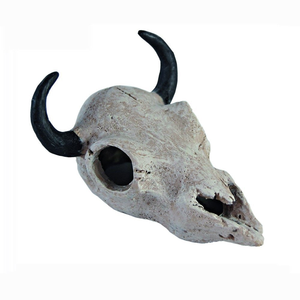Haquoss buffalo skull carcassa buffalo per rettili marvellous decor