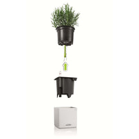 LECHUZA Fioriere 3 pz Green Wall Home Kit Bianco 425619