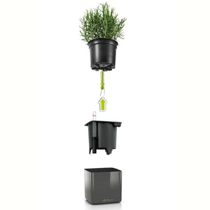 LECHUZA Fioriere 3 pz Green Wall Home Kit Antracite Lucido