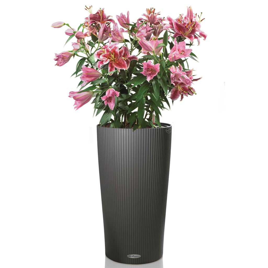 LECHUZA Fioriera Cilindro Color 32 ALL-IN-ONE Ardesia 13953