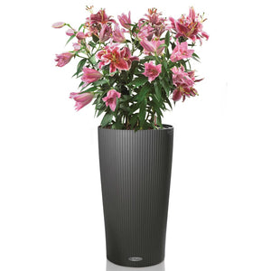 LECHUZA Fioriera Cilindro Color 32 ALL-IN-ONE Ardesia 13953