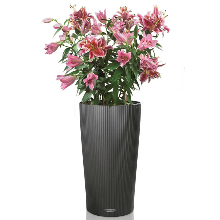 LECHUZA Fioriera Cilindro Color 32 ALL-IN-ONE Ardesia 13953