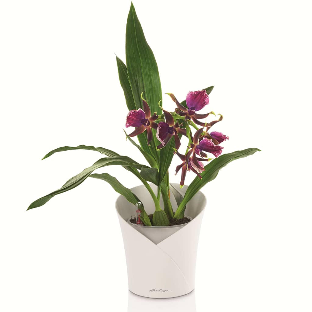 LECHUZA Fioriera ORCHIDEA ALL-IN-ONE Bianco Opaco