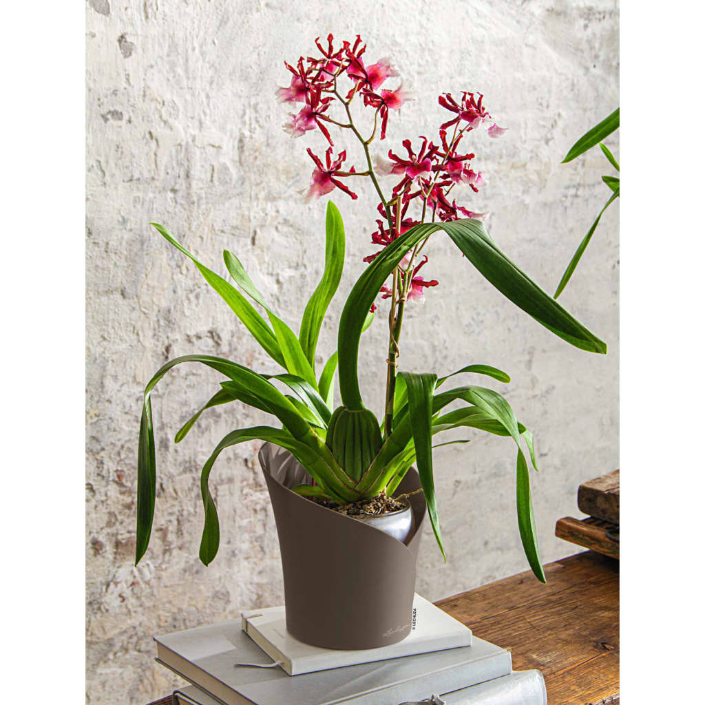 LECHUZA Fioriera ORCHIDEA ALL-IN-ONE Diametro 18 cm Tortora 446114