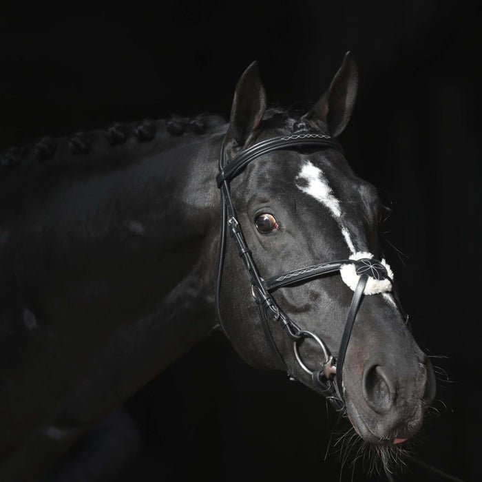 Covalliero Briglia Cancun per Pony Nera