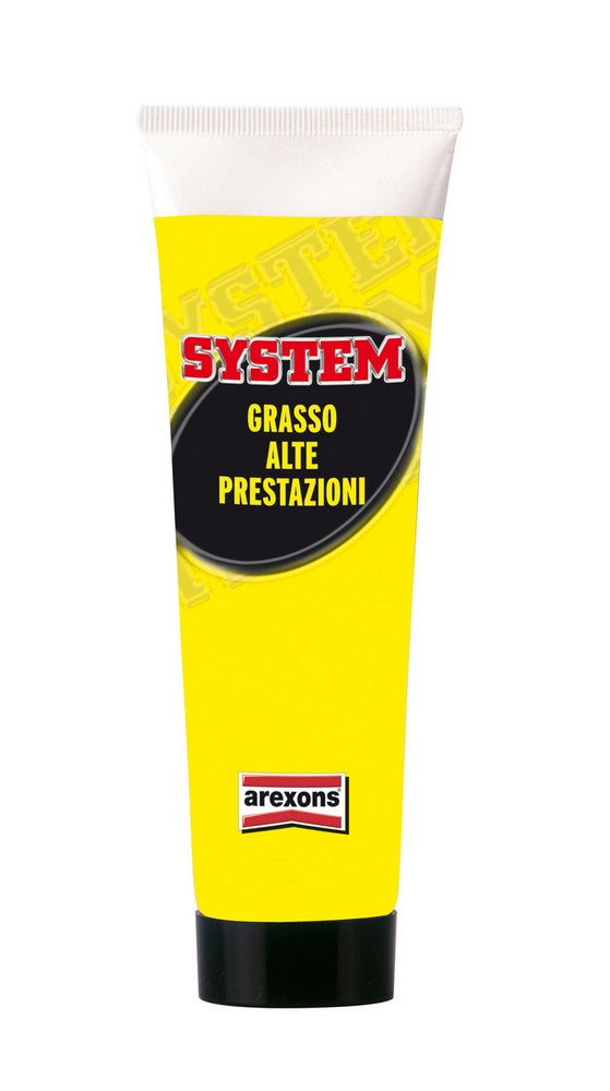 grasso alte prestazioni system ml. 100 vit33135