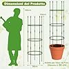 3 Pezzi Obelisco per Rampicanti Garden, Supporto Piante Rampicanti Giardino, Pomodoro Gabbie Traliccio Giardino in Vaso 154cm, per Pomodori Vite Frutta Rose Rampicanti Piante