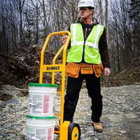 DeWalt Carrello Manuale Portapacchi in Acciaio con Impugnatura a P Portata 300kg