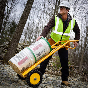 DeWalt Carrello Manuale Portapacchi in Acciaio con Impugnatura a P Portata 300kg