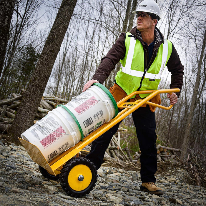 DeWalt Carrello Manuale Portapacchi in Acciaio con Impugnatura a P Portata 300kg