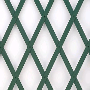 Traliccio Grigliato Estensibile in PVC per Piante rampicanti Balcone Giardino terrazza 3x1 mt Verde