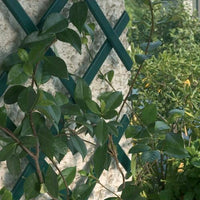 Traliccio Grigliato Estensibile in PVC per Piante rampicanti Balcone Giardino terrazza 3x1 mt Verde