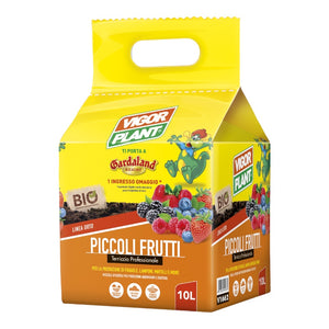 TERRICCIO PER FRUTTI ROSSI lamponi fragole more PICCOLI FRUTTI 10Lt Vigorplant