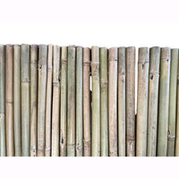 Arella in Canna di Bamboo Naturale River 1x3 metri per Recinzioni e Coperture in Rotoli