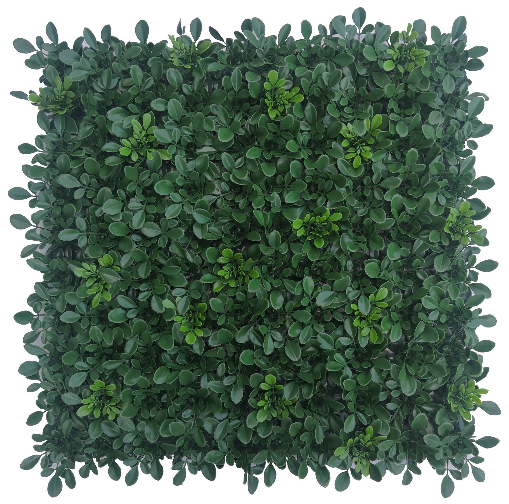 SIEPE ARTIFICIALE CM 100X100 MOD. PLANT MZ188073A  (2 pz)