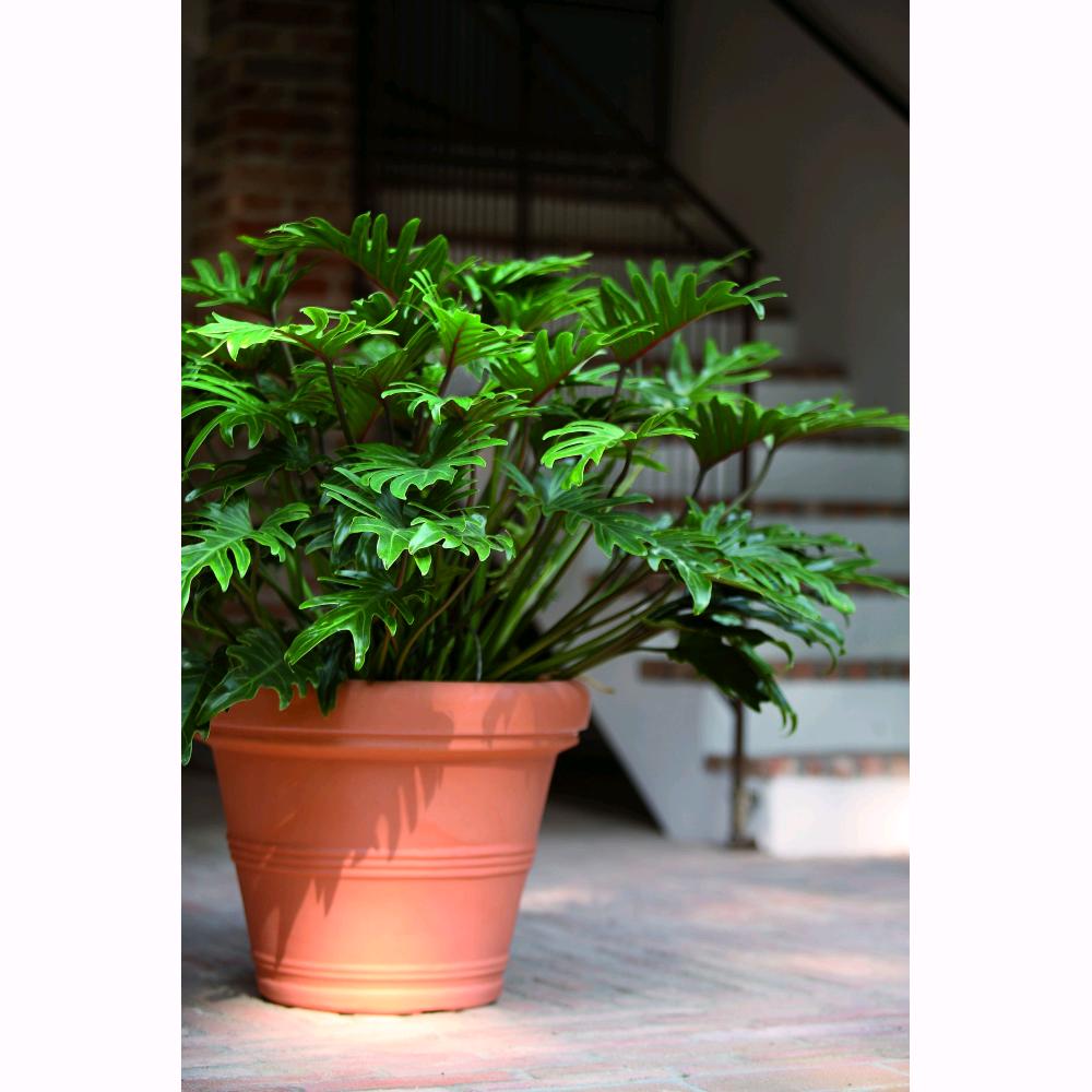 Vaso in Resina Doppio Bordo Liscio Color Terracotta Impruneta 35 cm Da Giardino