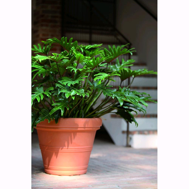 Vaso in Resina Doppio Bordo Liscio Color Terracotta Impruneta 75 cm Da Giardino