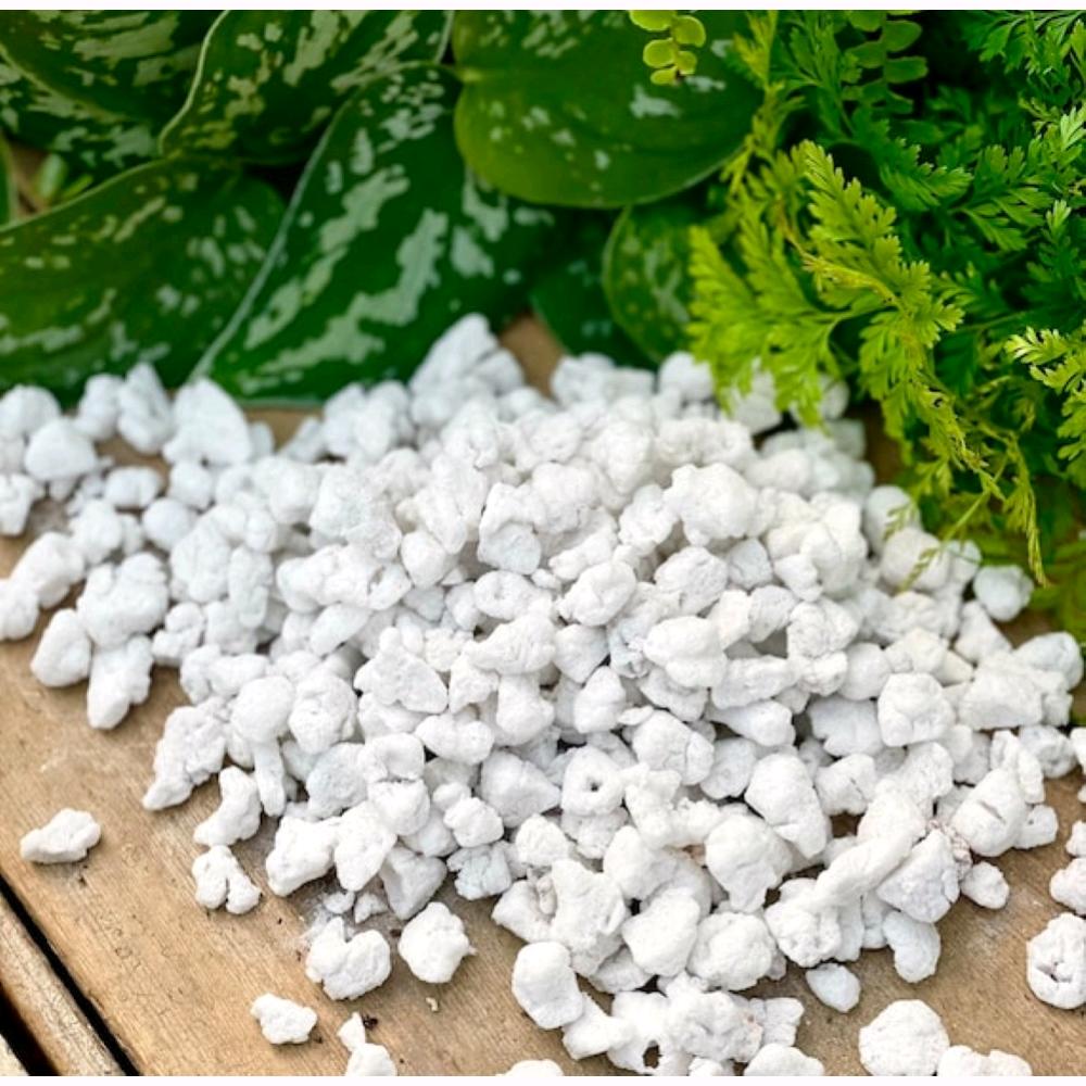 Perlite espansa da 5 litri per piante substrato ammendante per coltivazione in vaso