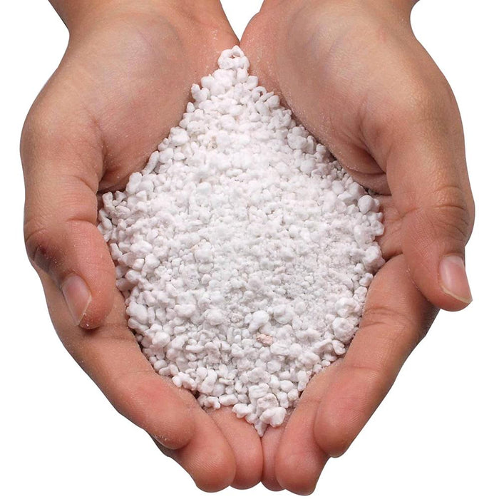 Perlite espansa da 5 litri per piante substrato ammendante per coltivazione in vaso