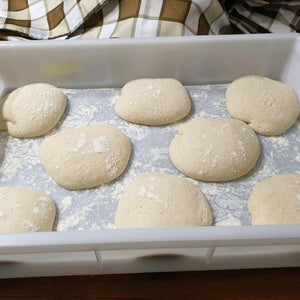 Coperchio per Cassetta per impasto Pizza Pane Alimenti Panetti 60x40x10H cm PEHD