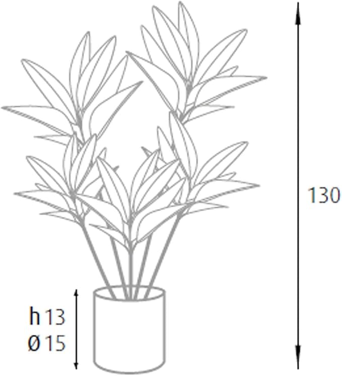 P2150125 - Pianta Dracaena 88 foglie