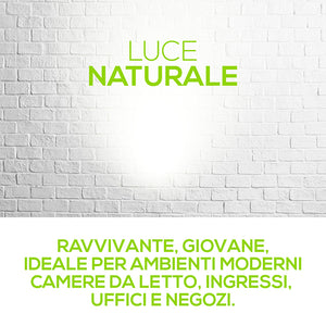 Lampadina Serie Smartline G120 Globeo 24W E27 4000K Luce Bianca Naturale Resa 230W 2.376Lumen 