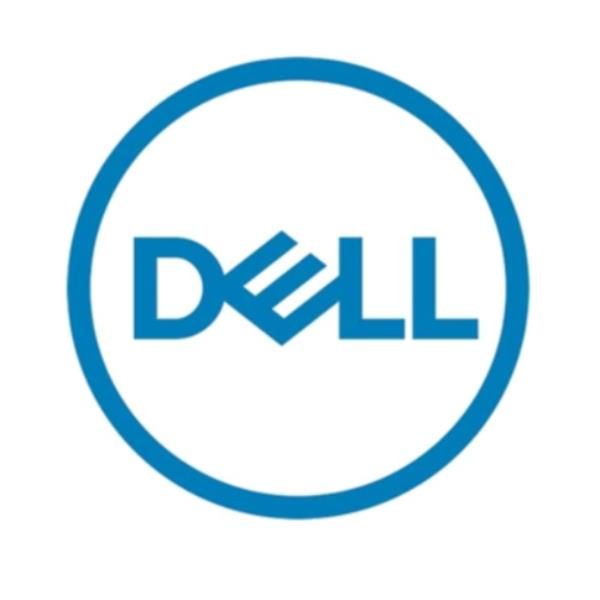 Dell 161-bcjx disco rigido interno 12 tb 7200 giri/min 3.5" nl-sas