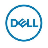 Dell 161-bcjx disco rigido interno 12 tb 7200 giri/min 3.5" nl-sas