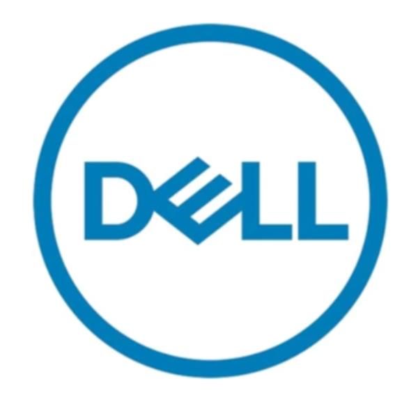 Dell 345-bhsh drives allo stato solido 960 gb 2.5" sas