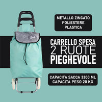 Carrello Porta Spesa Metallo Zincato Antipioggia Maniglia 2 Ruote