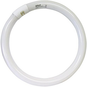 Lampadina circolare trifosforo fluorescente luce bianca 6500k *** watt 40 watt, confezione 1