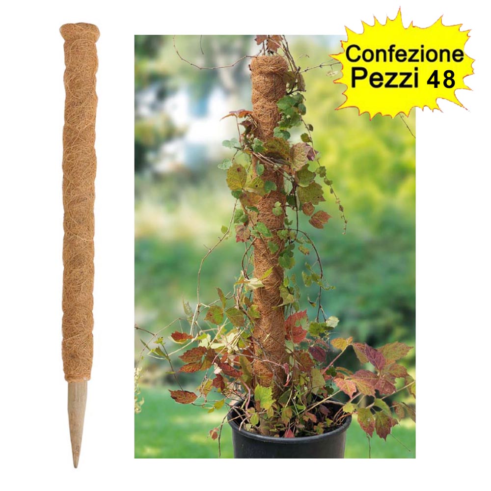 Tutori in legno fibra di cocco per rampicanti confezione da 48 pezzi 35-45 mm x altezza 60 cm