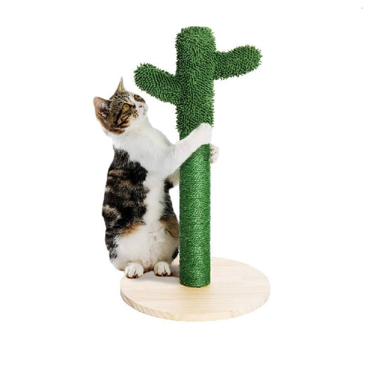 Tiragraffi Gioco Gatti Graffiatoio Albero Cactus Animali Felini Verde