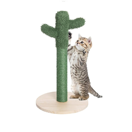 Tiragraffi Gioco Gatti Graffiatoio Albero Cactus Animali Felini Verde