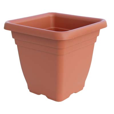 Vaso quadro laurus ics pp terracotta cm 40x40 h.cm 36 (6 pezzi) Ics 