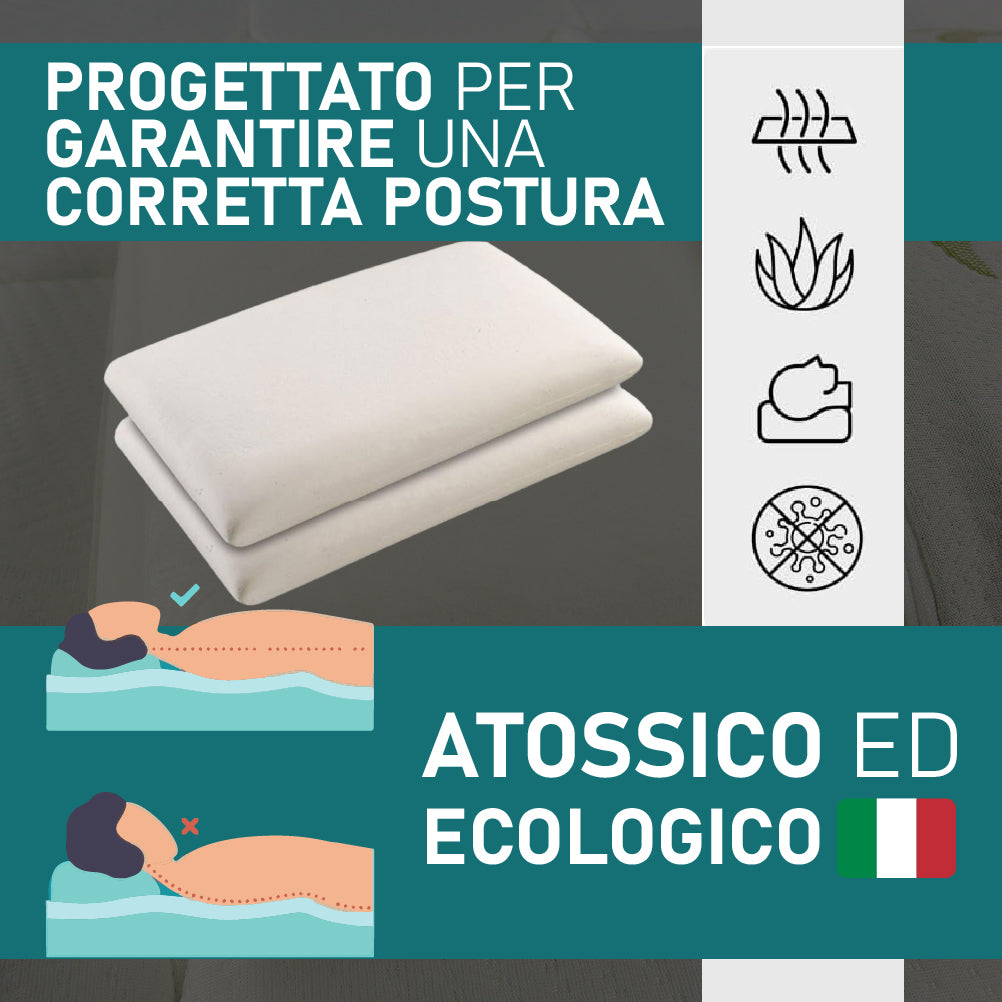 Coppia Cuscino Sfoderabile Aloe Vera e Memory 70x40 H 15cm con Sacca da Viaggio