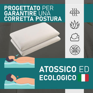 Coppia Cuscino Sfoderabile Aloe Vera e Memory 70x40 H 15cm con Sacca da Viaggio