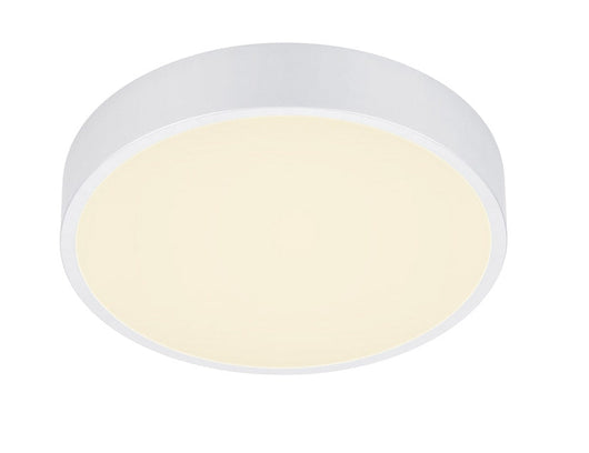 Plafoniera da Interno a LED in Metallo Bianco Opaco