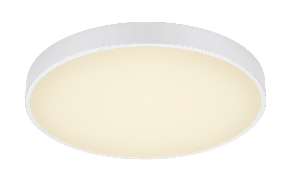 Plafoniera da Interno a LED in Metallo Bianco Opaco