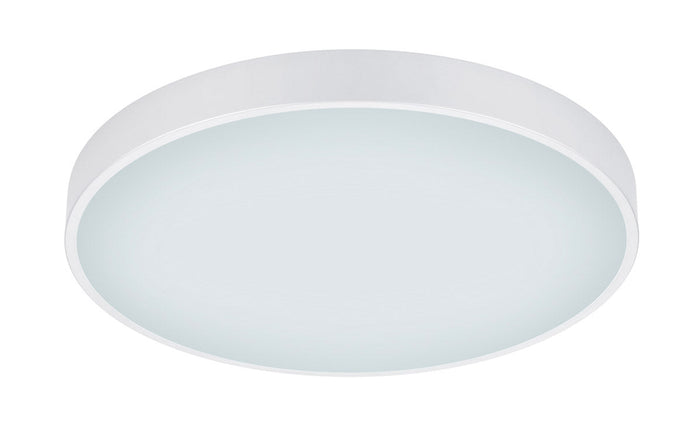 Plafoniera da Interno a LED in Metallo Bianco Opaco