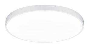 Plafoniera da Interno a LED in Metallo Bianco Opaco