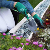 Paletta da giardino Larga giardinaggio orto per travaso fiori e piante - Ribimex PROFT1