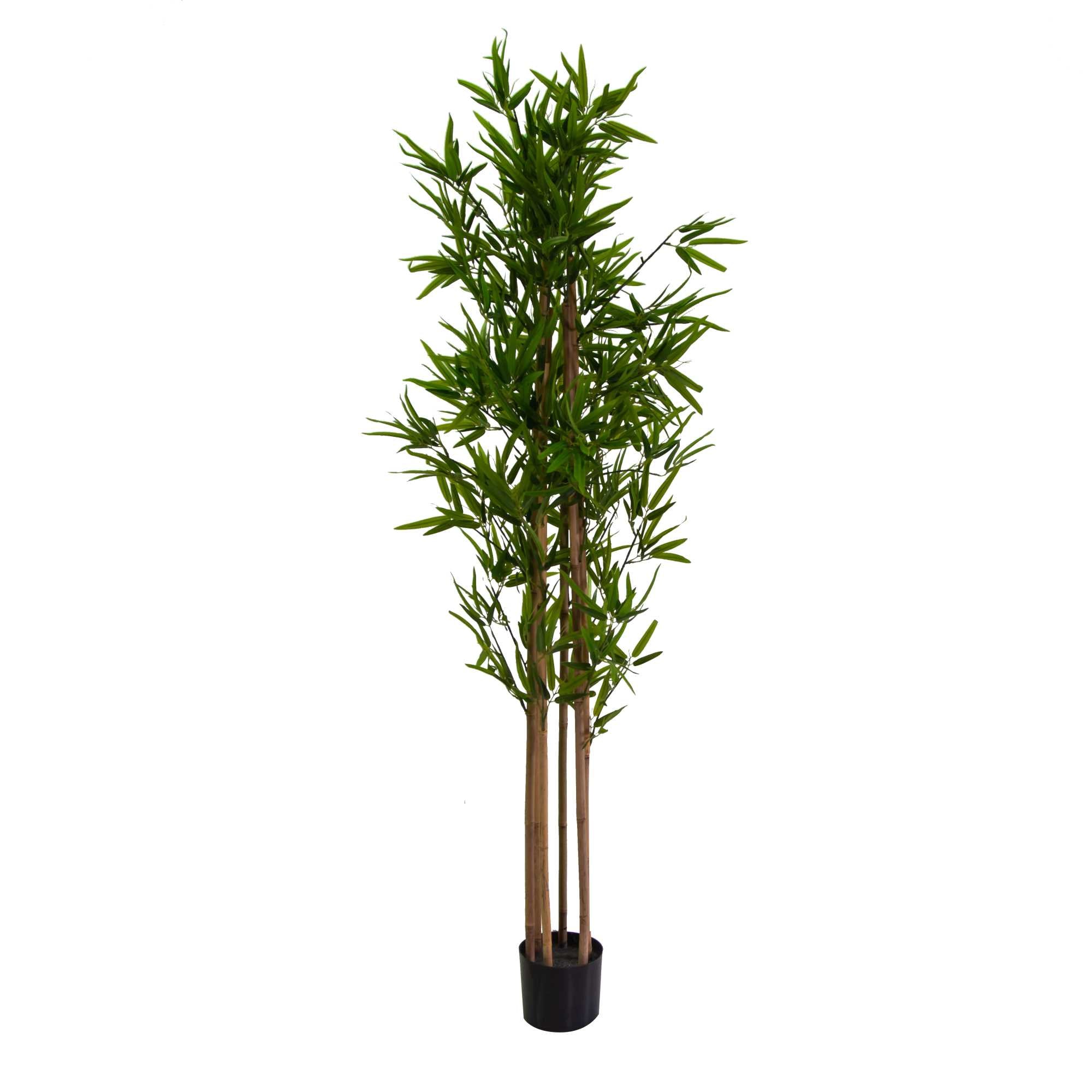 Pianta artificiale plastica Bamboo cmh180