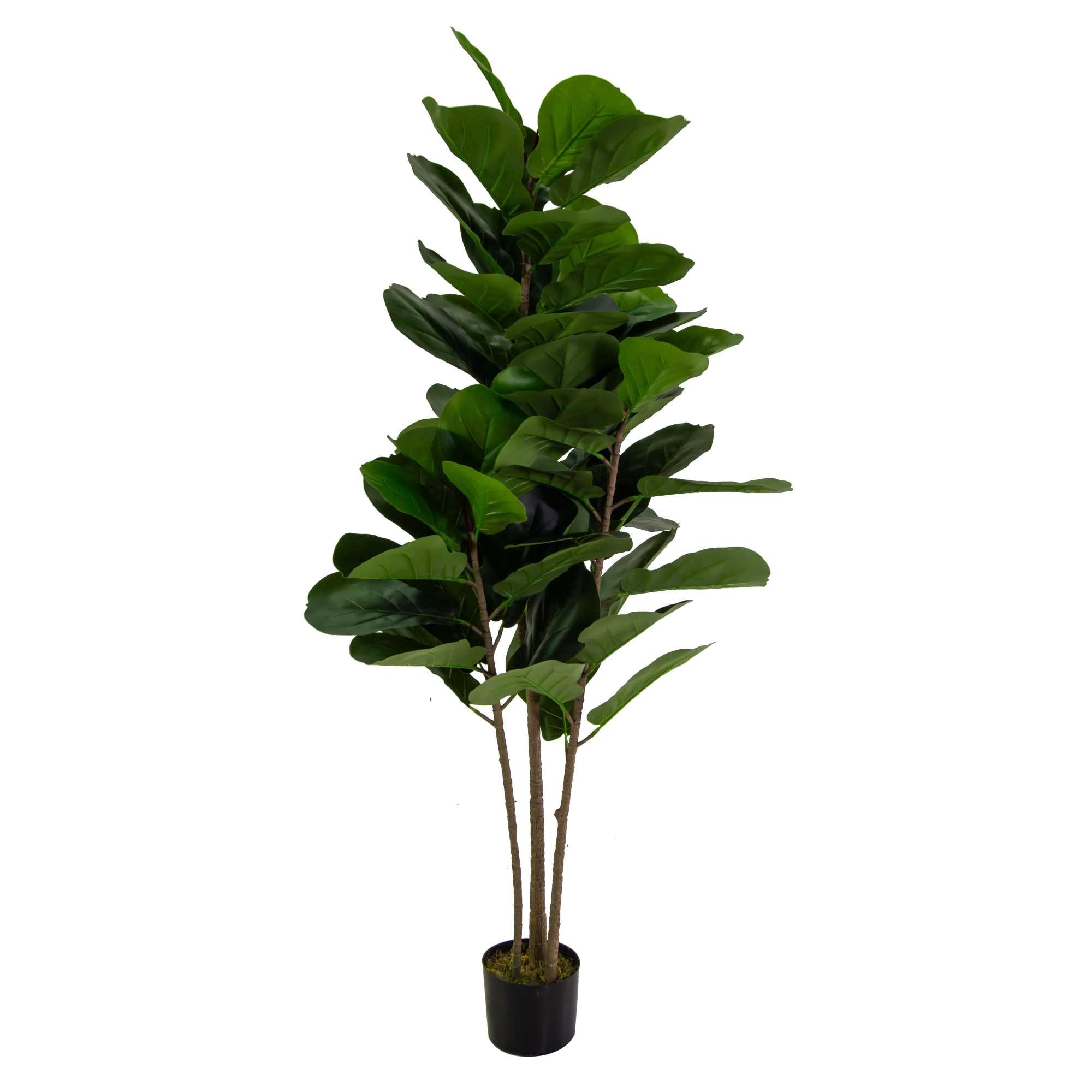 Pianta artificiale plastica Ficus cmh150