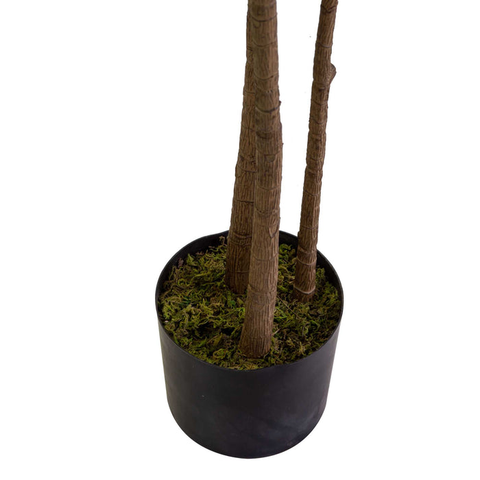 Pianta artificiale plastica Ficus cmh180