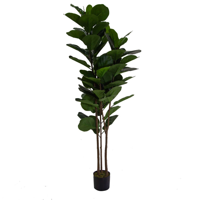 Pianta artificiale plastica Ficus cmh180